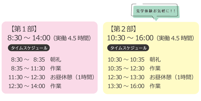 一日の流れ